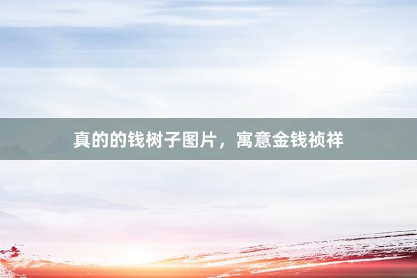 真的的钱树子图片，寓意金钱祯祥