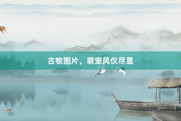 古牧图片，萌宠风仪尽显