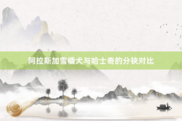 阿拉斯加雪橇犬与哈士奇的分袂对比